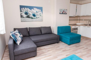 Studio Borići